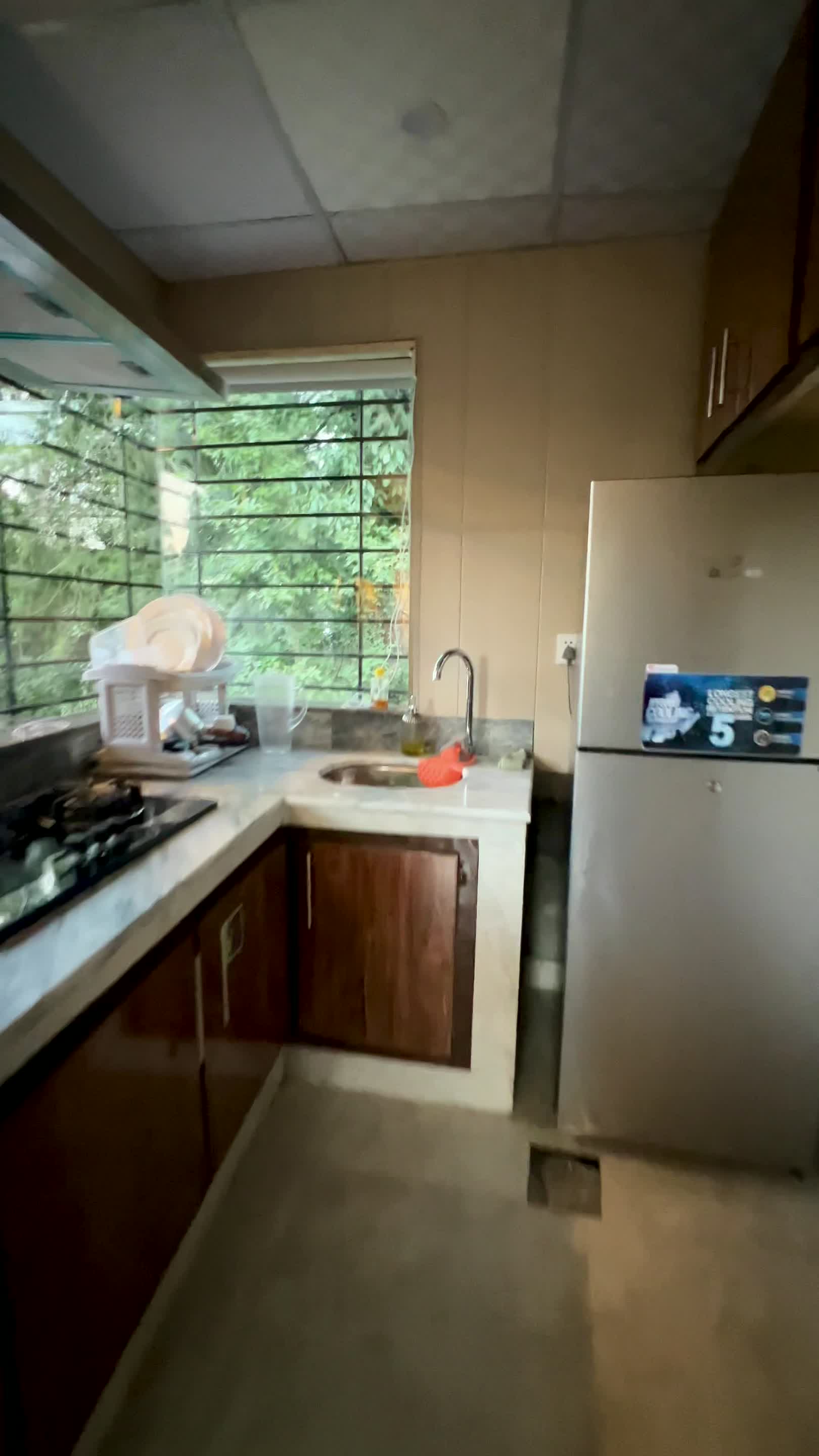 Jungle Studio kitchen
