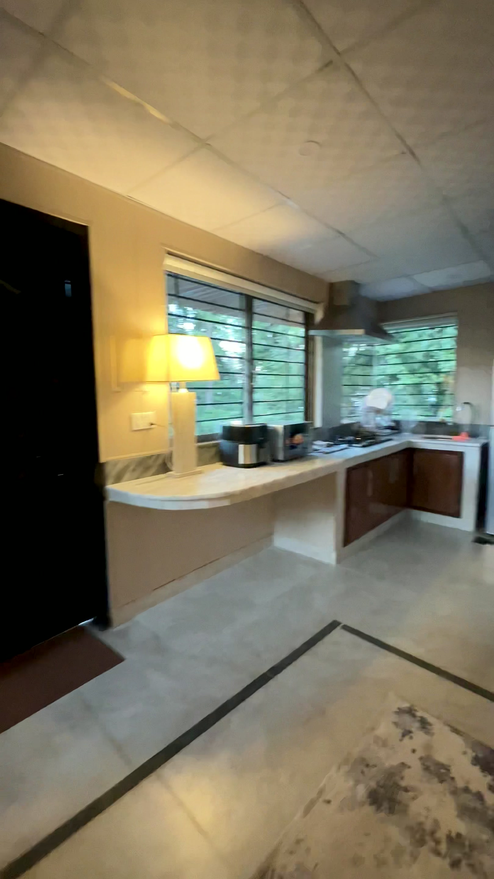 Jungle Studio kitchen